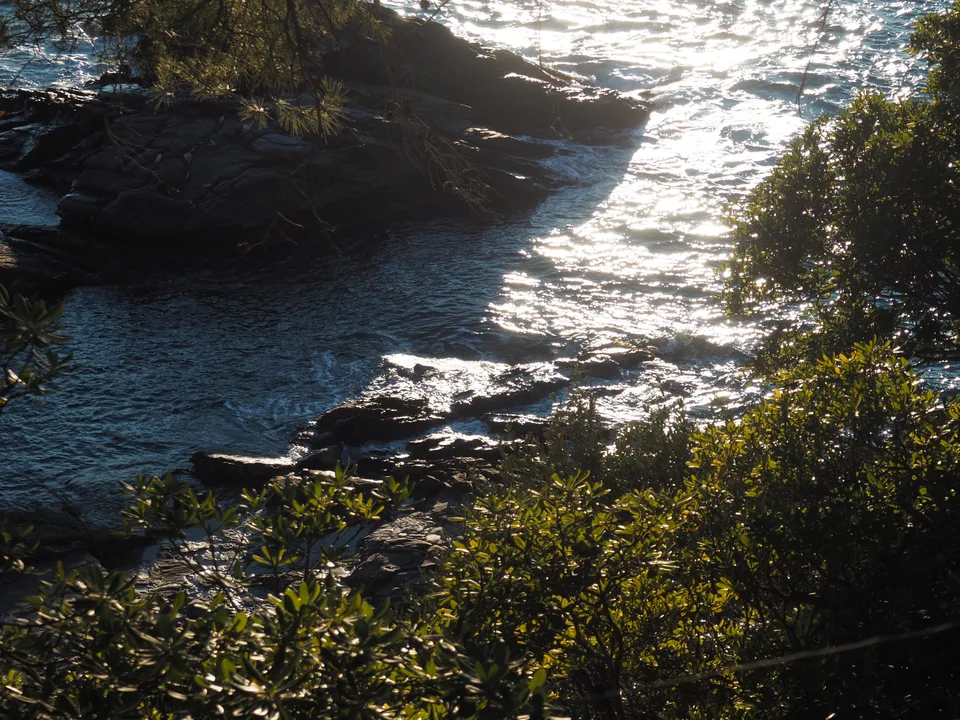 Background 4